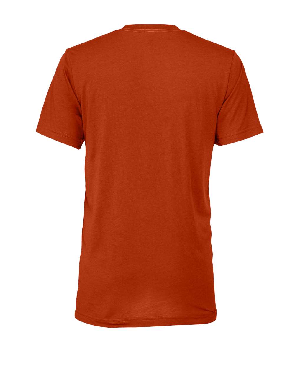 BELLA + CANVAS Triblend Tee - 3413