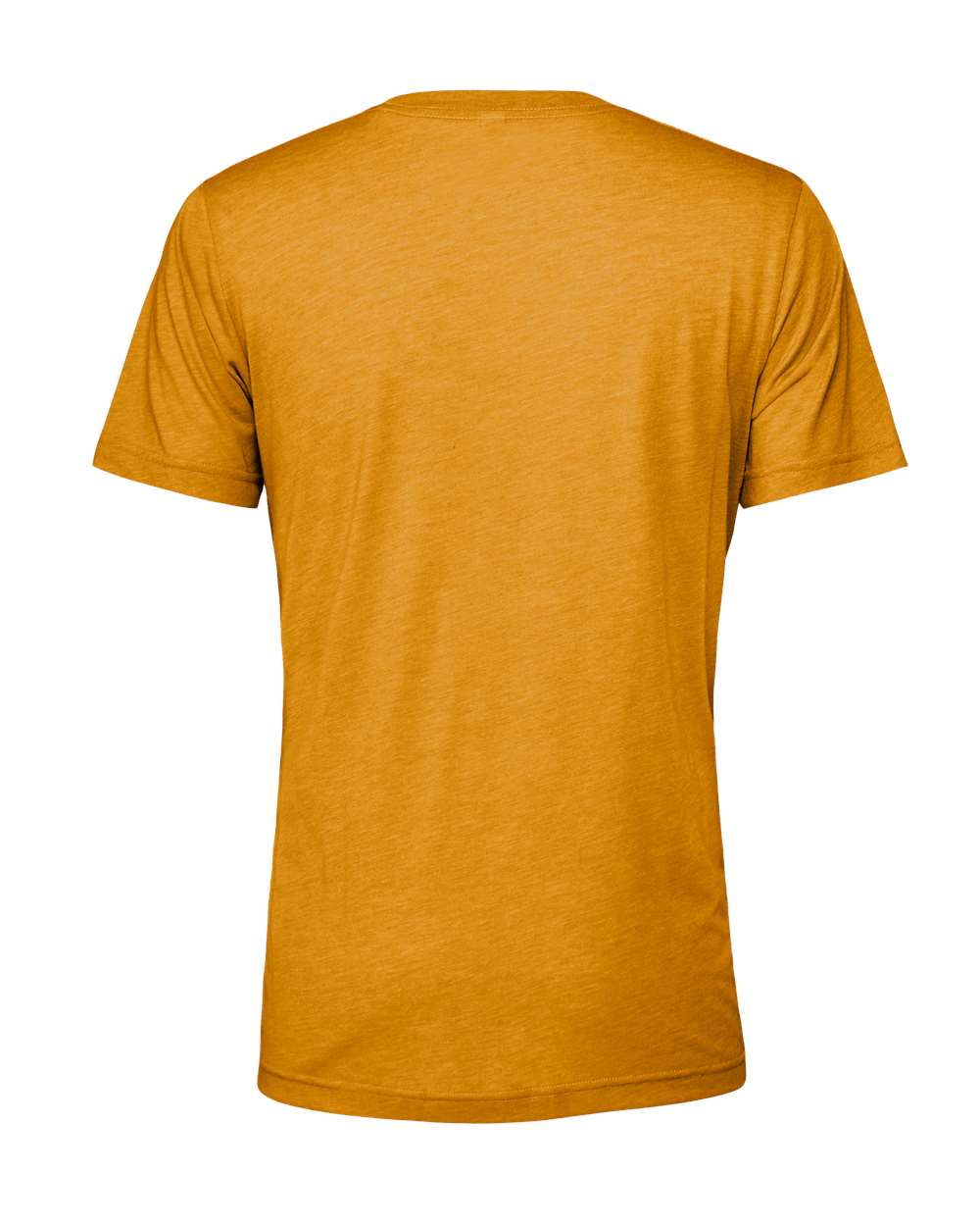 BELLA + CANVAS Triblend Tee - 3413