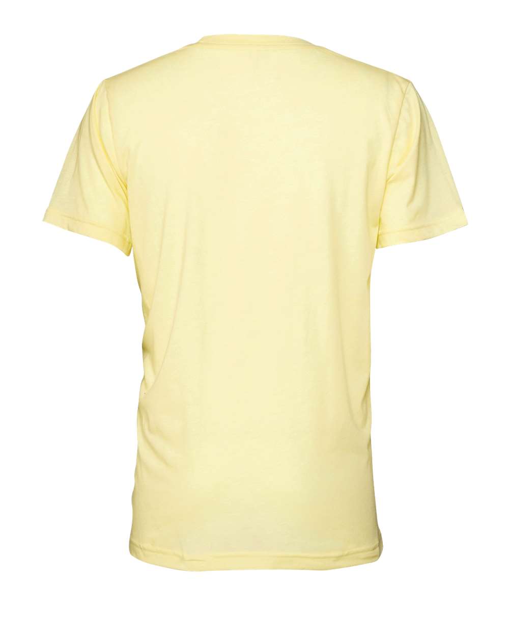 BELLA + CANVAS Triblend Tee - 3413