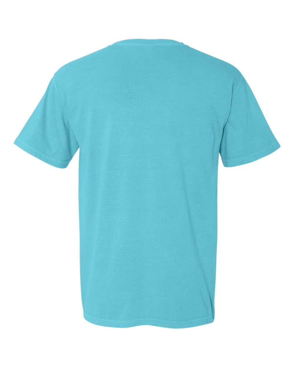 Comfort Colors Unisex Garment-Dyed Heavyweight T-Shirt - 1717