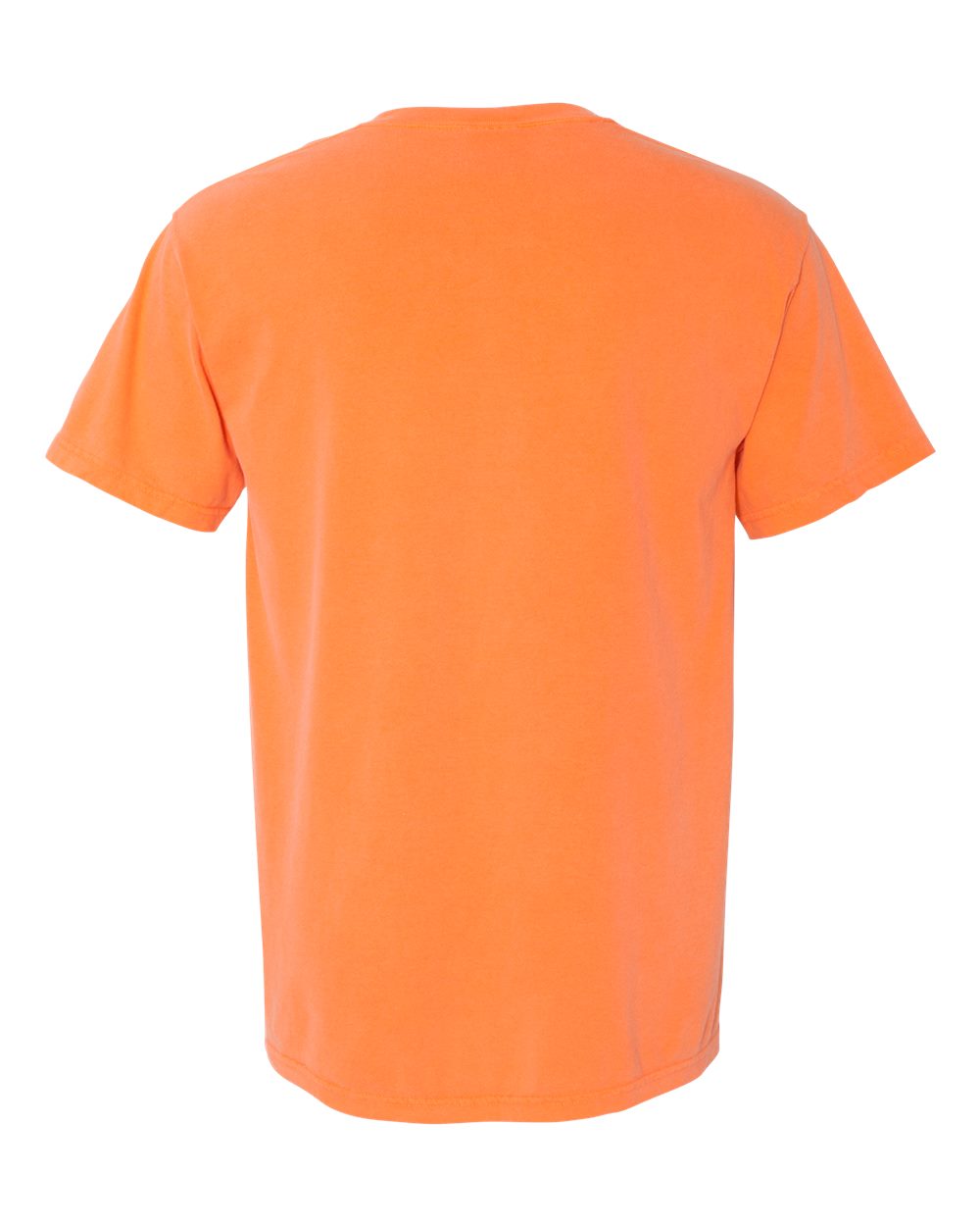 Comfort Colors Unisex Garment-Dyed Heavyweight T-Shirt - 1717