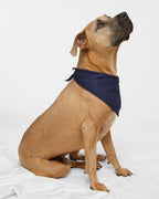 Doggie Skins USA-Made Doggie Bandana - 3905
