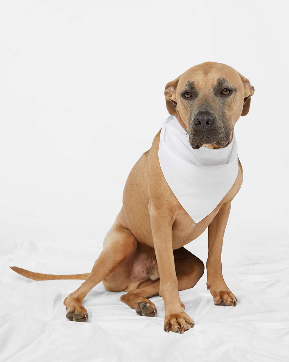 Doggie Skins USA-Made Doggie Bandana - 3905