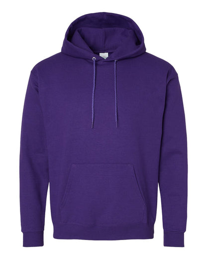 Hanes Unisex EcoSmart® Hooded Sweatshirt - P170