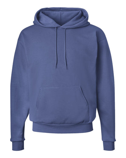 Hanes Unisex EcoSmart® Hooded Sweatshirt - P170