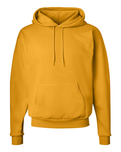 Hanes Unisex EcoSmart® Hooded Sweatshirt - P170