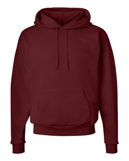 Hanes Unisex EcoSmart® Hooded Sweatshirt - P170
