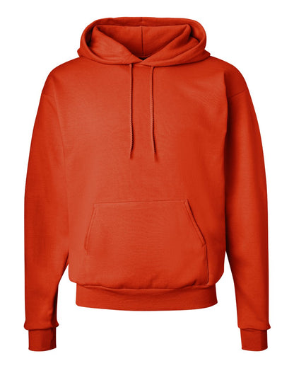 Hanes Unisex EcoSmart® Hooded Sweatshirt - P170