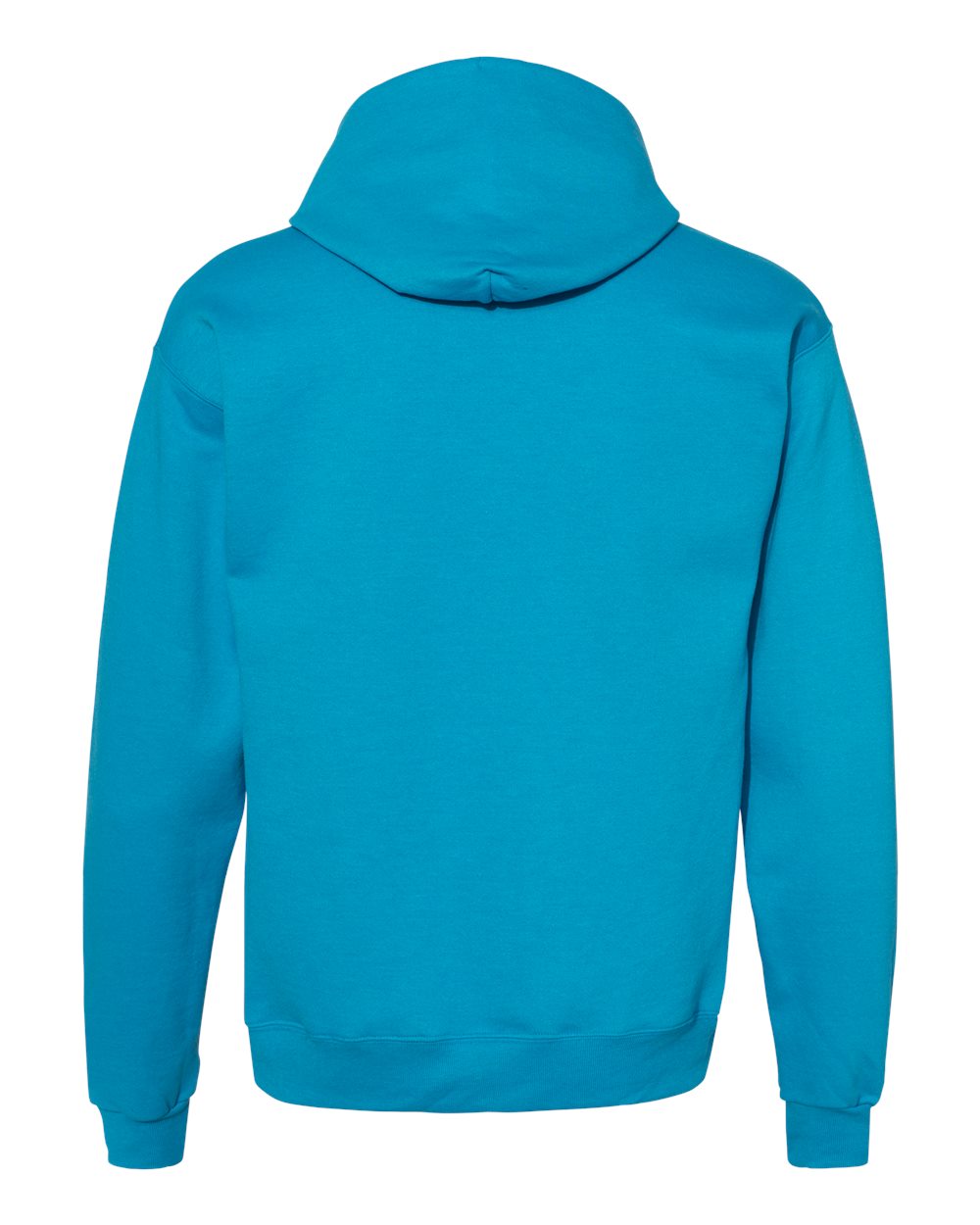 Hanes Unisex EcoSmart® Hooded Sweatshirt - P170