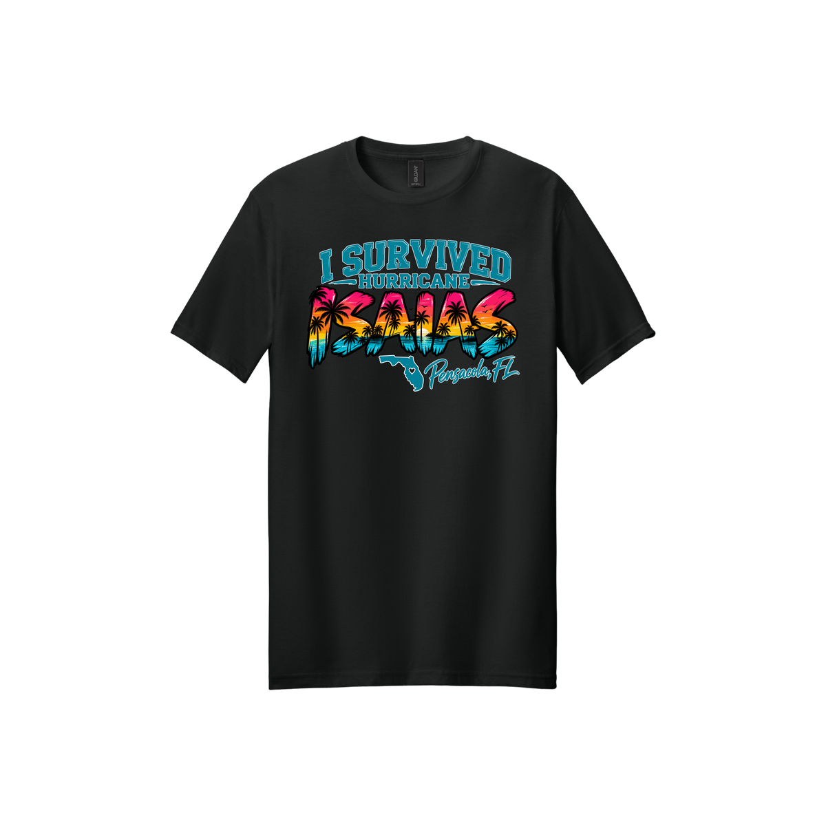 Hurricane Survivor Shirts – Pensacola Collection