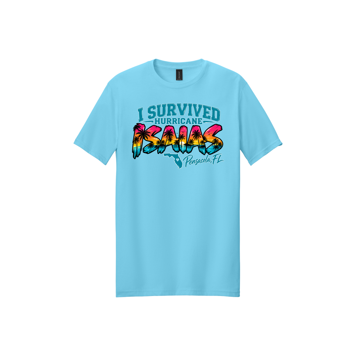 Hurricane Survivor Shirts – Pensacola Collection