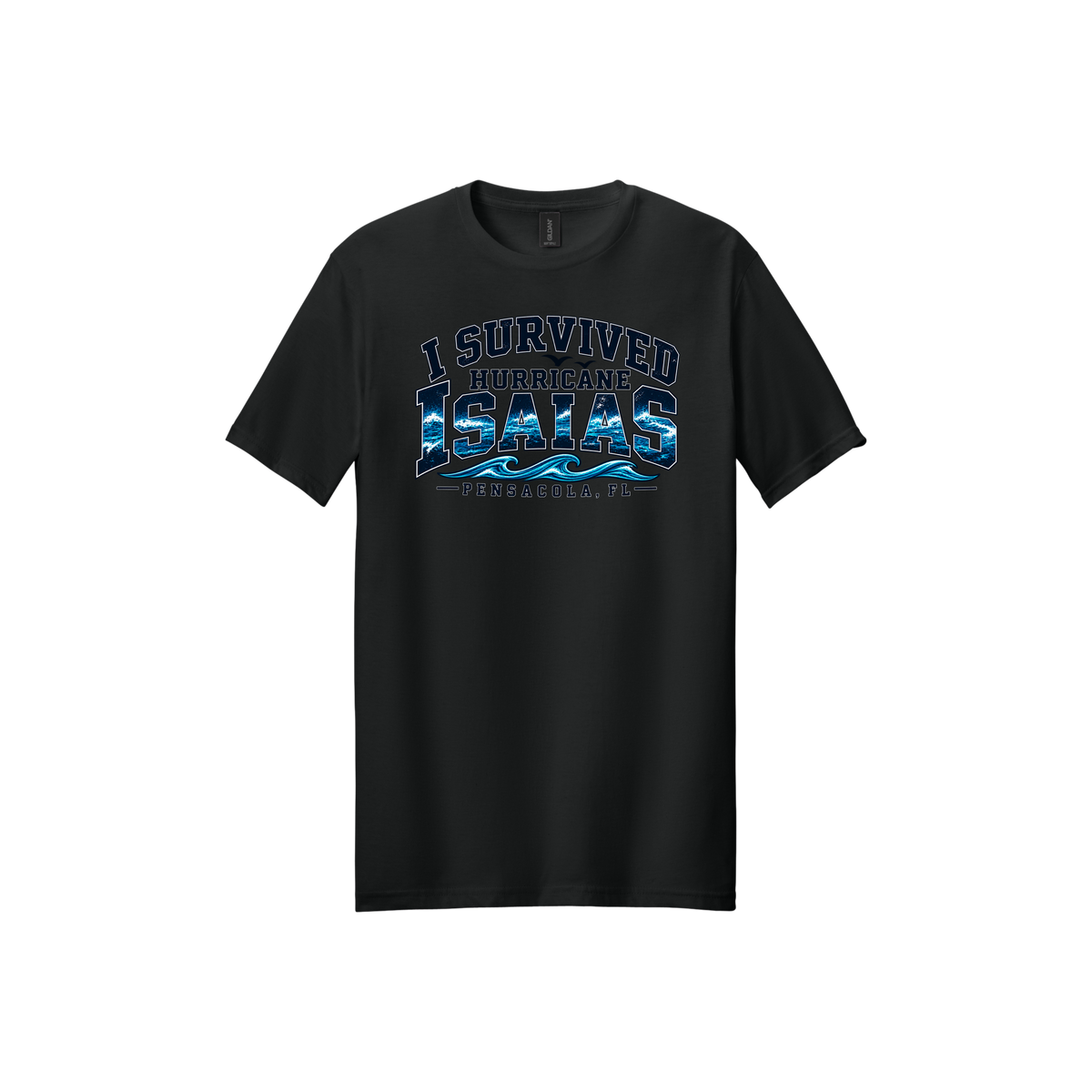 Hurricane Survivor Shirts – Pensacola Collection