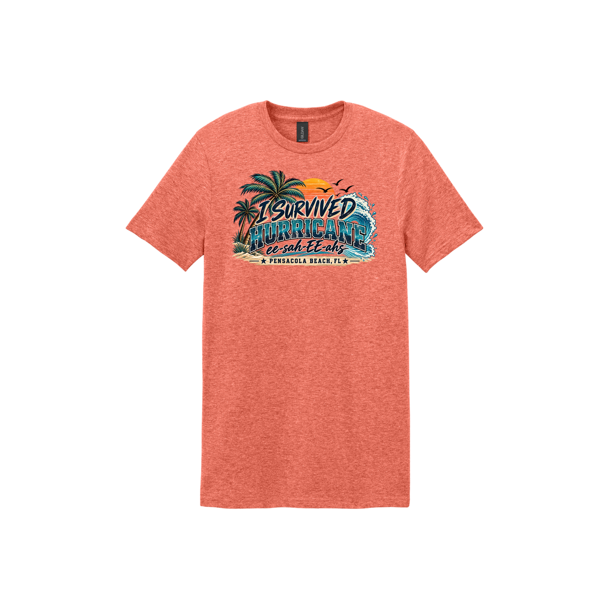 Hurricane Survivor Shirts – Pensacola Collection