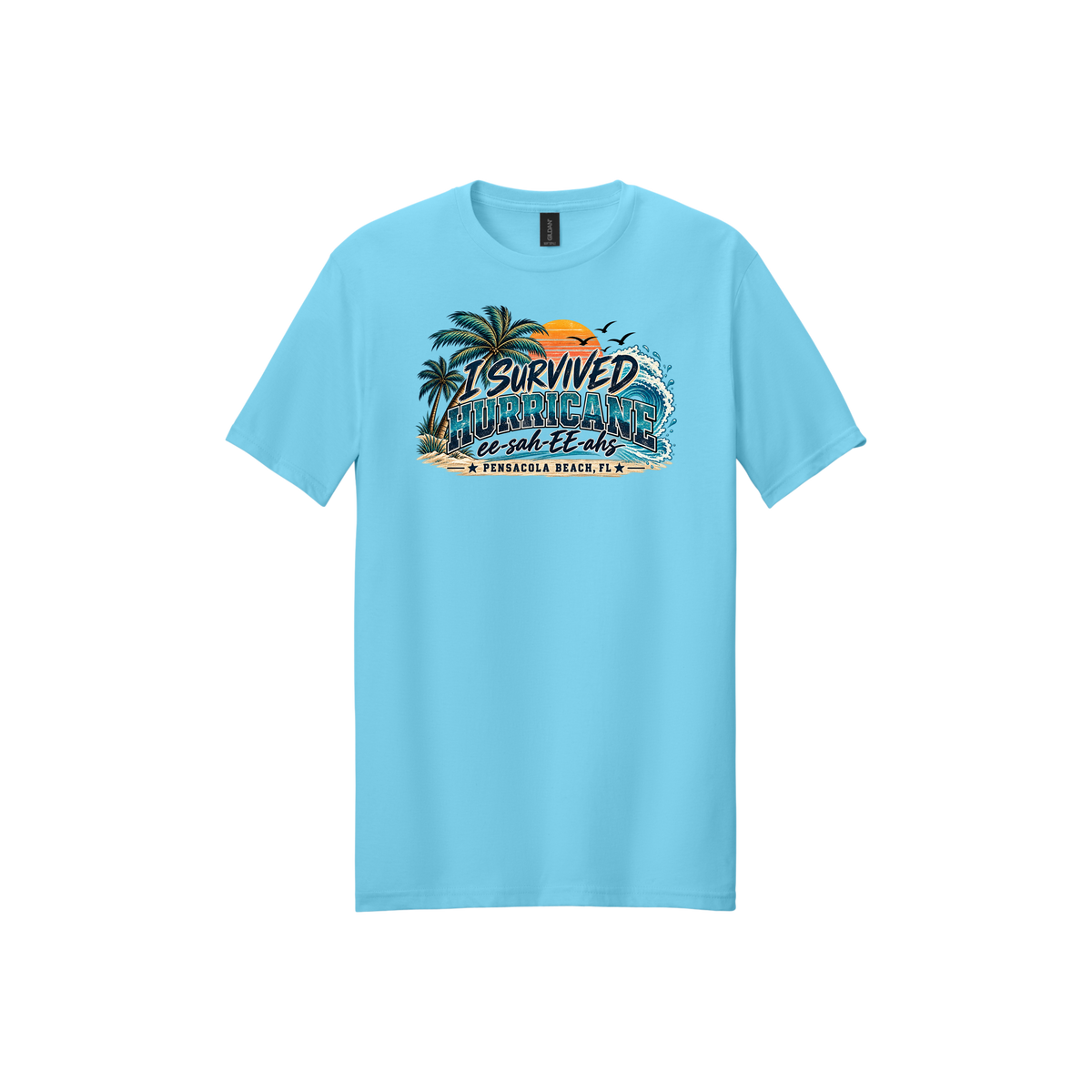 Hurricane Survivor Shirts – Pensacola Collection