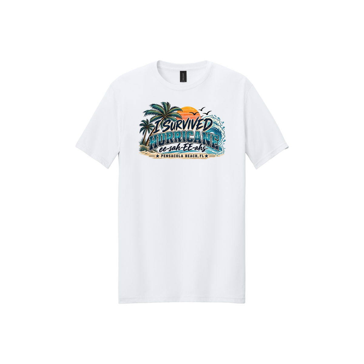 Hurricane Survivor Shirts – Pensacola Collection