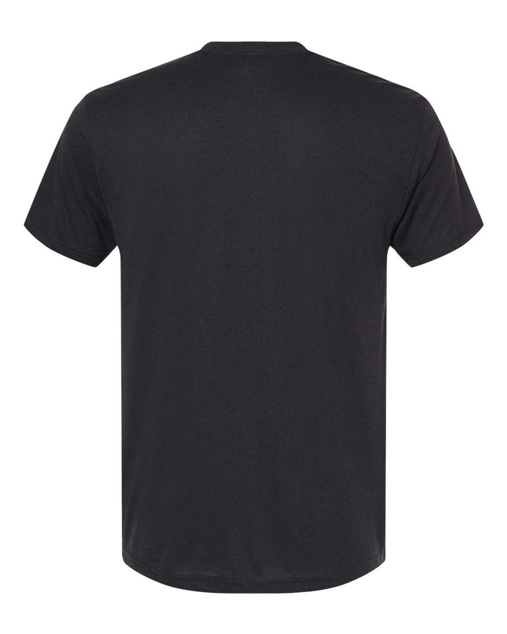 Next Level Unisex Triblend T-Shirt - 6010
